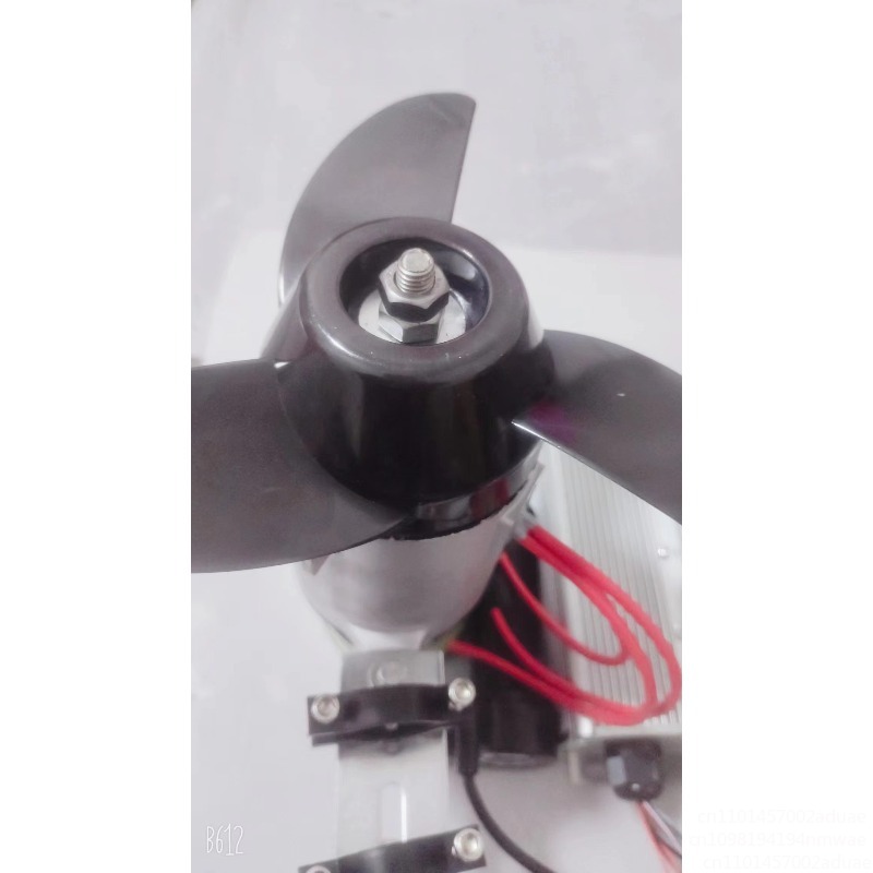 Marine Electric Propeller Brus – Fishing Boat Outboard Motor Bewertung und Preis